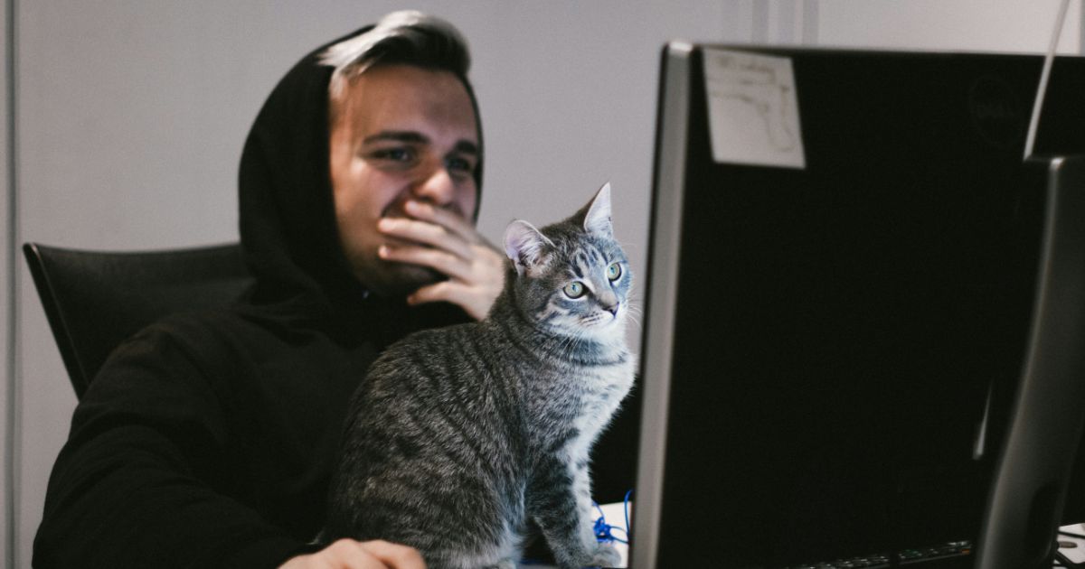 A man in a hoodie intently observes a cat displayed on his computer screen, highlighting focused eye tracking in research.