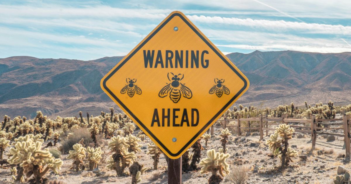 Warning sign indicating potential hazards ahead in a barren desert landscape representing research synthesis frameworks.